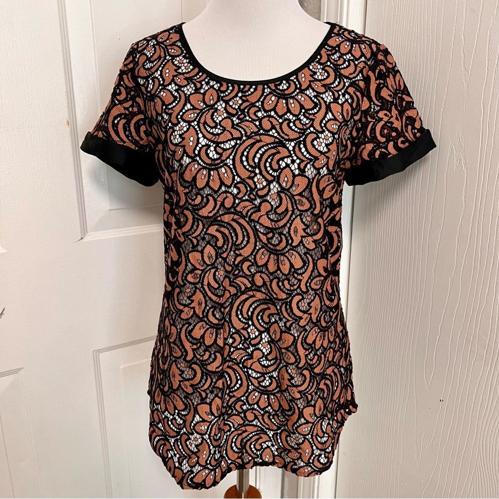 Express Sheer Top E5